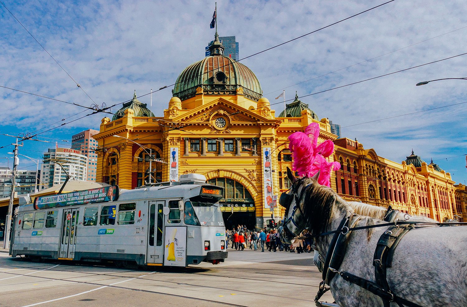 50 Best Wedding Photo Locations in Melbourne, Victoria (2024)